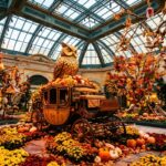 Bellagio Conservatory Harvest Display: A Free Must-See Spectacle